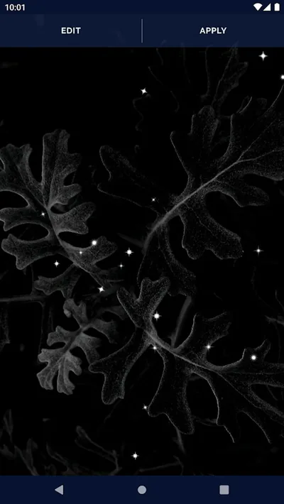 Moving Black Wallpapers