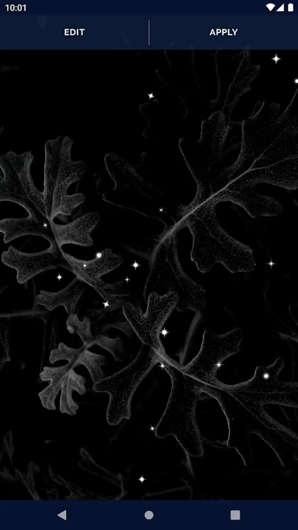 Moving Black Wallpaper and Background