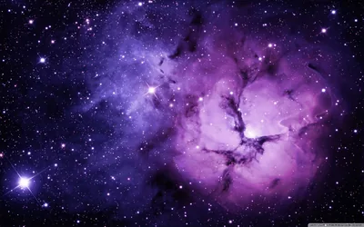 HD Purple Wallpaper Background Images To For Free