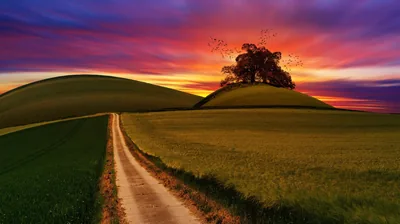 Dirt Road Through Rolling Hills at Sunset HD Wallpaper