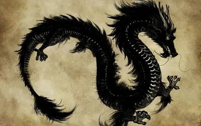 Dragon Pics Wallpaper images