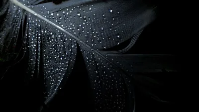 Simple Dark Black Wallpaper