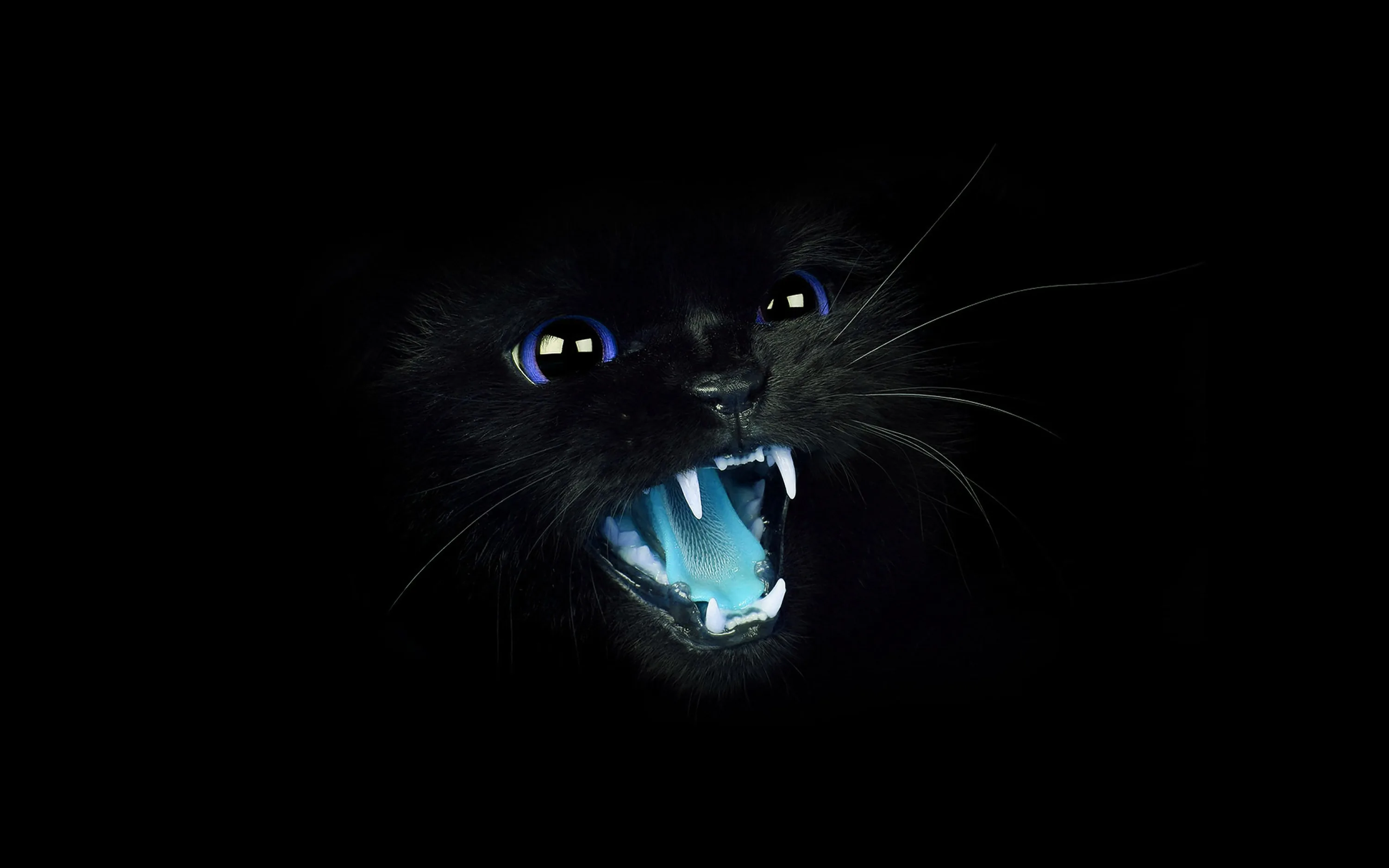 Black Wallpaper Desktop Full HD Wallpaper