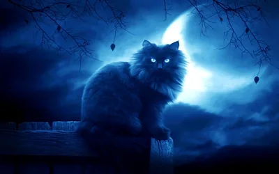 black, moon Wallpaper, HD Fantasy 4K Wallpapers, Images and Background Wallpaper