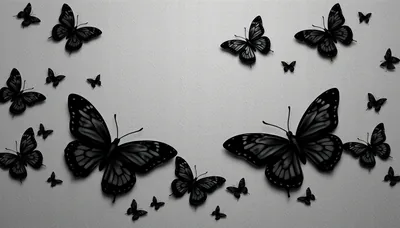 Cute Black Butterfly Wallpapers