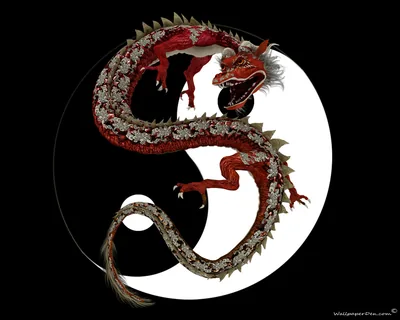 Chinese Dragons Wallpapers