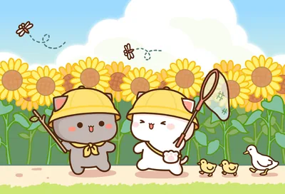 Two Cats Bug Hunting in Sunflowers HD Wallpaper