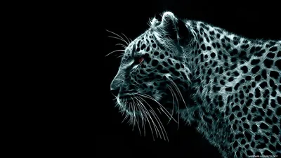Leopard Profile in Blue Monochrome HD Wallpaper