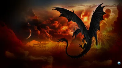 Sunset Dragon HD Fantasy Wallpaper