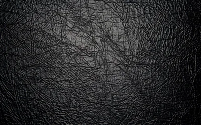 Luxe Black Leather Accessories Wallpaper