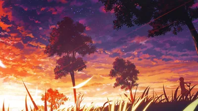 Trees Silhouetted Against an Orange Sunset HD Wallpaper