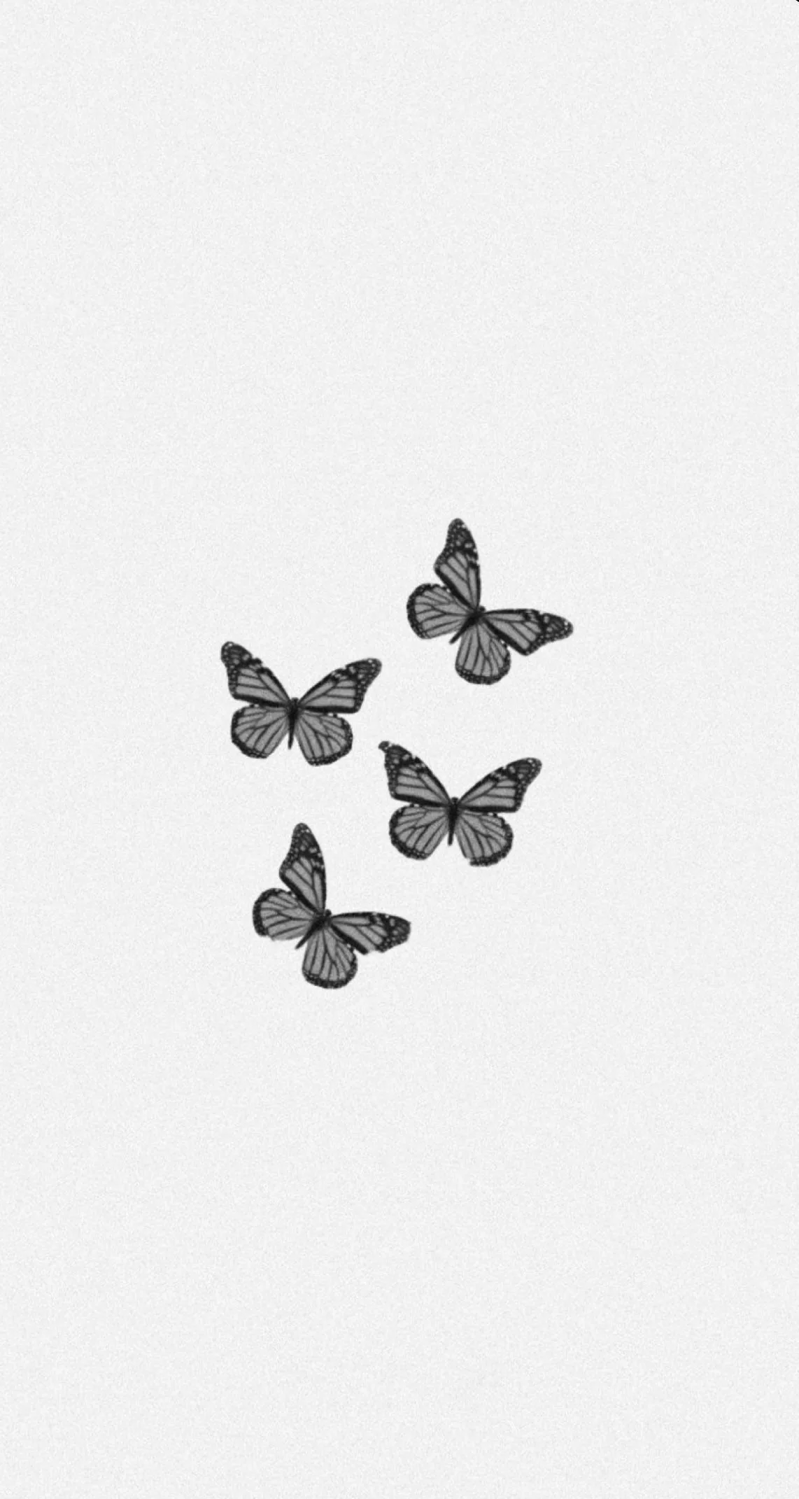 Black And White Butterfly Wallpapers