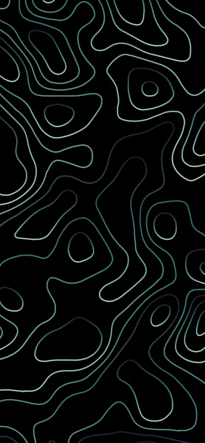 Topo Wallpaper Black