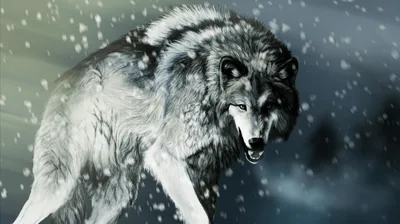 Super Cool Wolf Wallpapers Super Cool Wolf Backgrounds