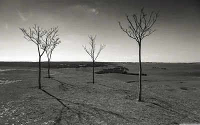 Landscape Black and White 4K UHD Wallpaper for UltraHD Desktop and TV Widescreen