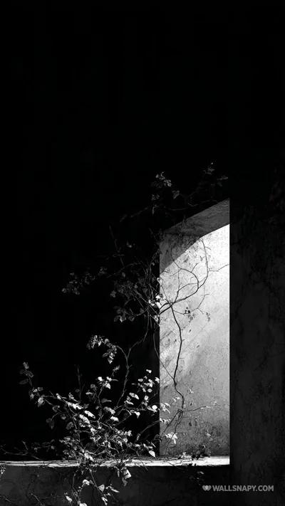 Amoled aesthetic nature night mobile 4k wallpaper