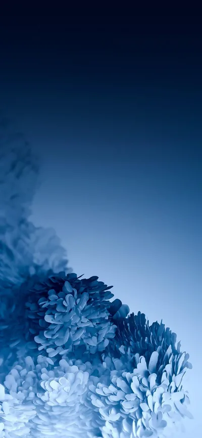 Frost-blue coral blooms pile up in the bottom-left corner and dissolve upward into a clean navy gradient that leaves most of the screen clear for icons.