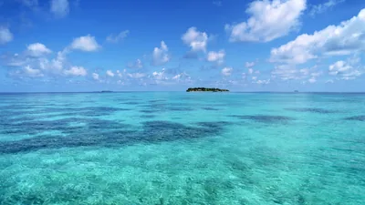 Small Island on a Coral Reef Flat HD Wallpaper