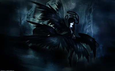 Haloed Angel with Black Feathered Wings HD Wallpaper