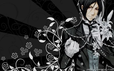 Black Butler HD Anime Elegance Wallpaper