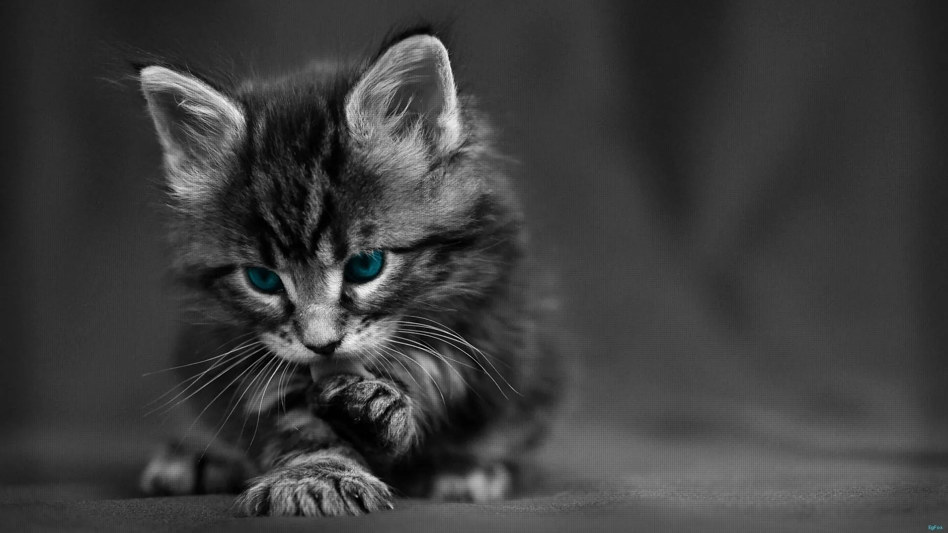 Cute Black And White Aesthetic Wallpapers
