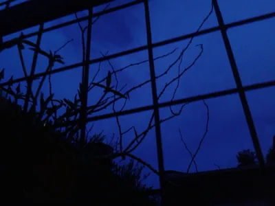 Best Dark blue aesthetic ideas
