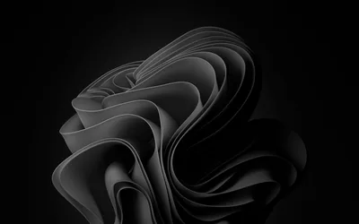 Windows 11 Bloom Sculpted in Black HD Wallpaper