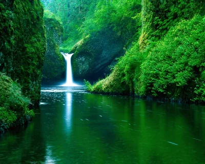 Waterfall Pouring Into a Green Gorge HD Wallpaper