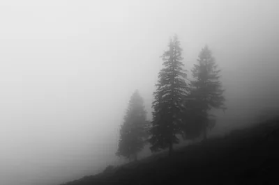 White Clean 4k Wallpapers