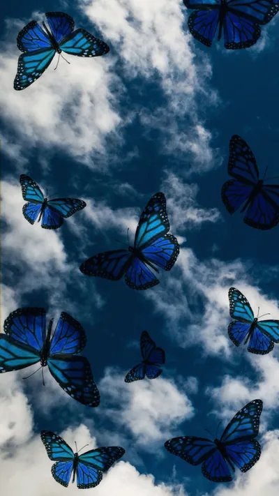 Cute Aesthetic Butterfly Wallpapers